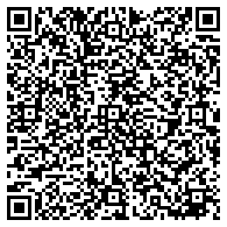 QR-код с контактной информацией организации Субъект предпринимательской деятельности ЧП Соломин