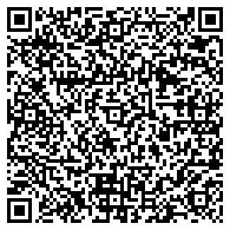 QR-код с контактной информацией организации ИП Николаенко