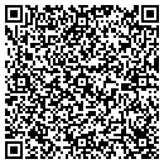 QR-код с контактной информацией организации ИП Сайлау