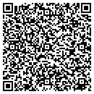 QR-код с контактной информацией организации ИП Лысиков