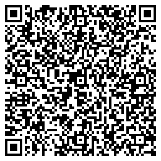 QR-код с контактной информацией организации NewGalaxyArt