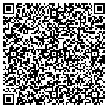 QR-код с контактной информацией организации Такси Каштан, Компания