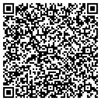 QR-код с контактной информацией организации DreamLife, ООО