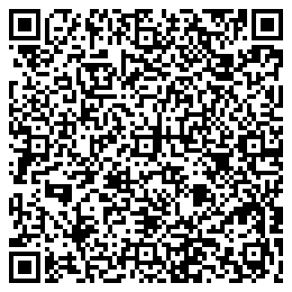 QR-код с контактной информацией организации Игорь, ЧП