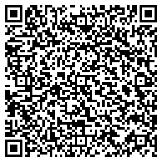 QR-код с контактной информацией организации Art Chagur , ЧП