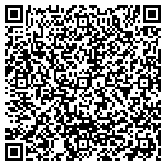 QR-код с контактной информацией организации Рубин, ИП