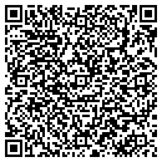 QR-код с контактной информацией организации Чистюля, ИП