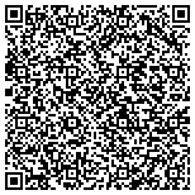 QR-код с контактной информацией организации Shostudio (Шостудио), ИП