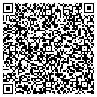 QR-код с контактной информацией организации Частное предприятие ИП Шатыгин