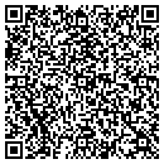 QR-код с контактной информацией организации Скифклин