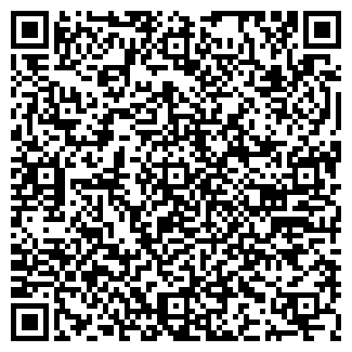 QR-код с контактной информацией организации ИП Лысенко