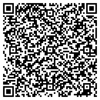 QR-код с контактной информацией организации Суница, ИП