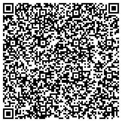 QR-код с контактной информацией организации Ст Джероми Транслейшин (St Gerome Translations), Компания