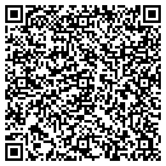 QR-код с контактной информацией организации Такси Леди, ЧП