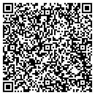 QR-код с контактной информацией организации ИП Нурланов
