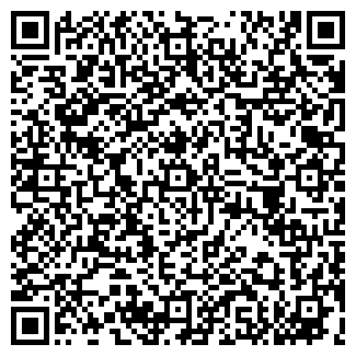QR-код с контактной информацией организации ИП Vista Rent