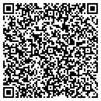 QR-код с контактной информацией организации ИП Кириенко СЮ