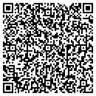 QR-код с контактной информацией организации Частное предприятие Ромашка