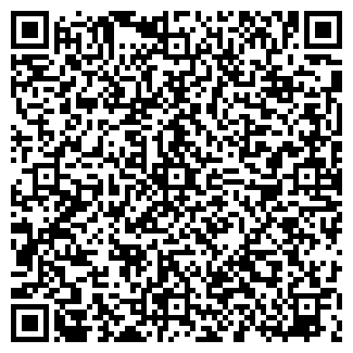 QR-код с контактной информацией организации Субъект предпринимательской деятельности ЧП Африхин