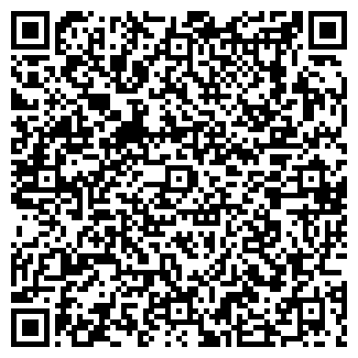 QR-код с контактной информацией организации Сириана, ЧП