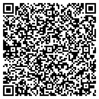 QR-код с контактной информацией организации Балу, ООО