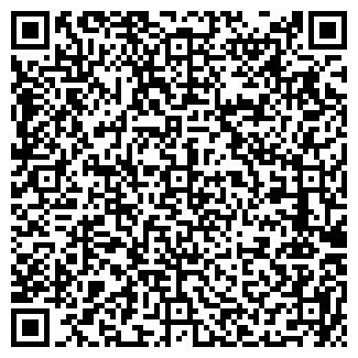 QR-код с контактной информацией организации Фроликов, ИП