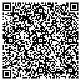 QR-код с контактной информацией организации Биг Шоп, ООО