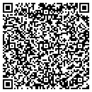 QR-код с контактной информацией организации Шумило, ИП