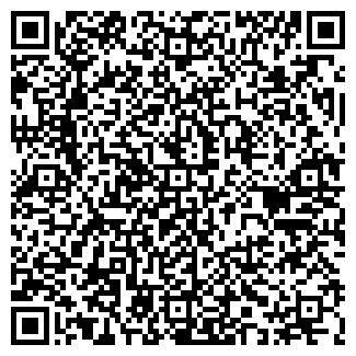 QR-код с контактной информацией организации Plitrem