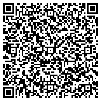 QR-код с контактной информацией организации "Фирма DKZ"