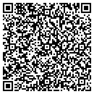 QR-код с контактной информацией организации ИП Айсаев С. С.