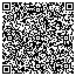 QR-код с контактной информацией организации Интернет-магазин "Лазейка"