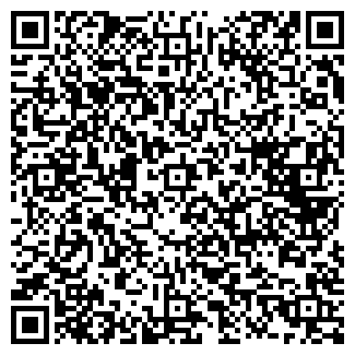 QR-код с контактной информацией организации ИП Бородаев
