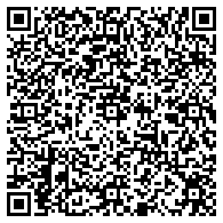 QR-код с контактной информацией организации Общество с ограниченной ответственностью Somick