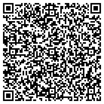 QR-код с контактной информацией организации Вэлси, ООО