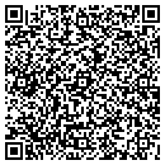 QR-код с контактной информацией организации Субъект предпринимательской деятельности Датикс