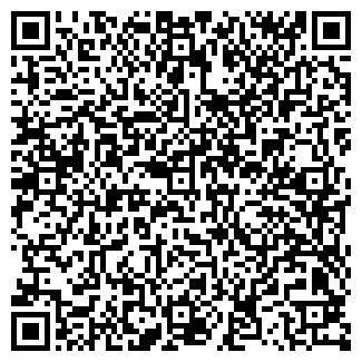 QR-код с контактной информацией организации Формикс, ООО