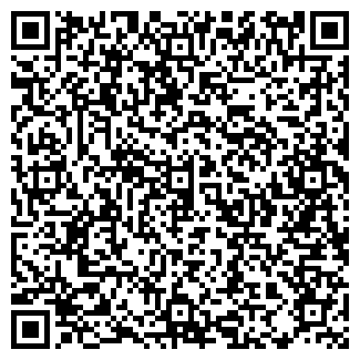 QR-код с контактной информацией организации ИП Копылов Д.А.