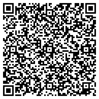 QR-код с контактной информацией организации ИП Баринов