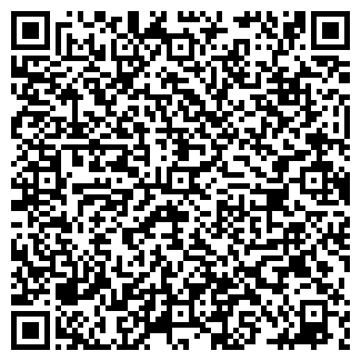 QR-код с контактной информацией организации ИП Лавский