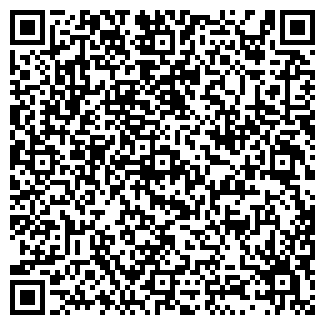 QR-код с контактной информацией организации ИП Перелыгин
