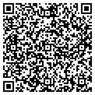 QR-код с контактной информацией организации VIP Мастер, ЧП