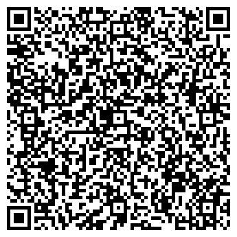 QR-код с контактной информацией организации Шаплыко М. С., ИП