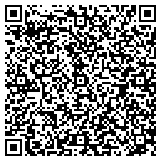 QR-код с контактной информацией организации ИП Лопанов