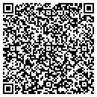 QR-код с контактной информацией организации «holodok»