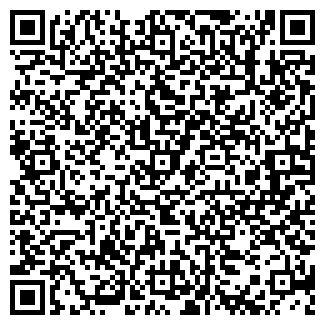 QR-код с контактной информацией организации Карефор, ЧУП