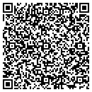 QR-код с контактной информацией организации Ками-2010, ТОО