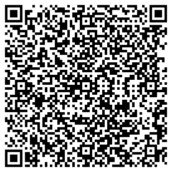 QR-код с контактной информацией организации Vlad(Влад), ИП