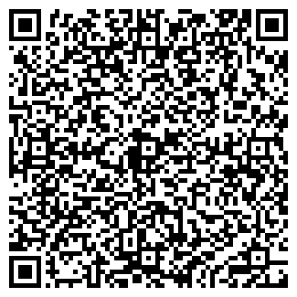 QR-код с контактной информацией организации ИП Балыш