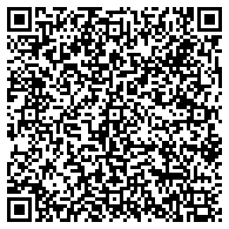 QR-код с контактной информацией организации Торговый Дом РУСО, ООО